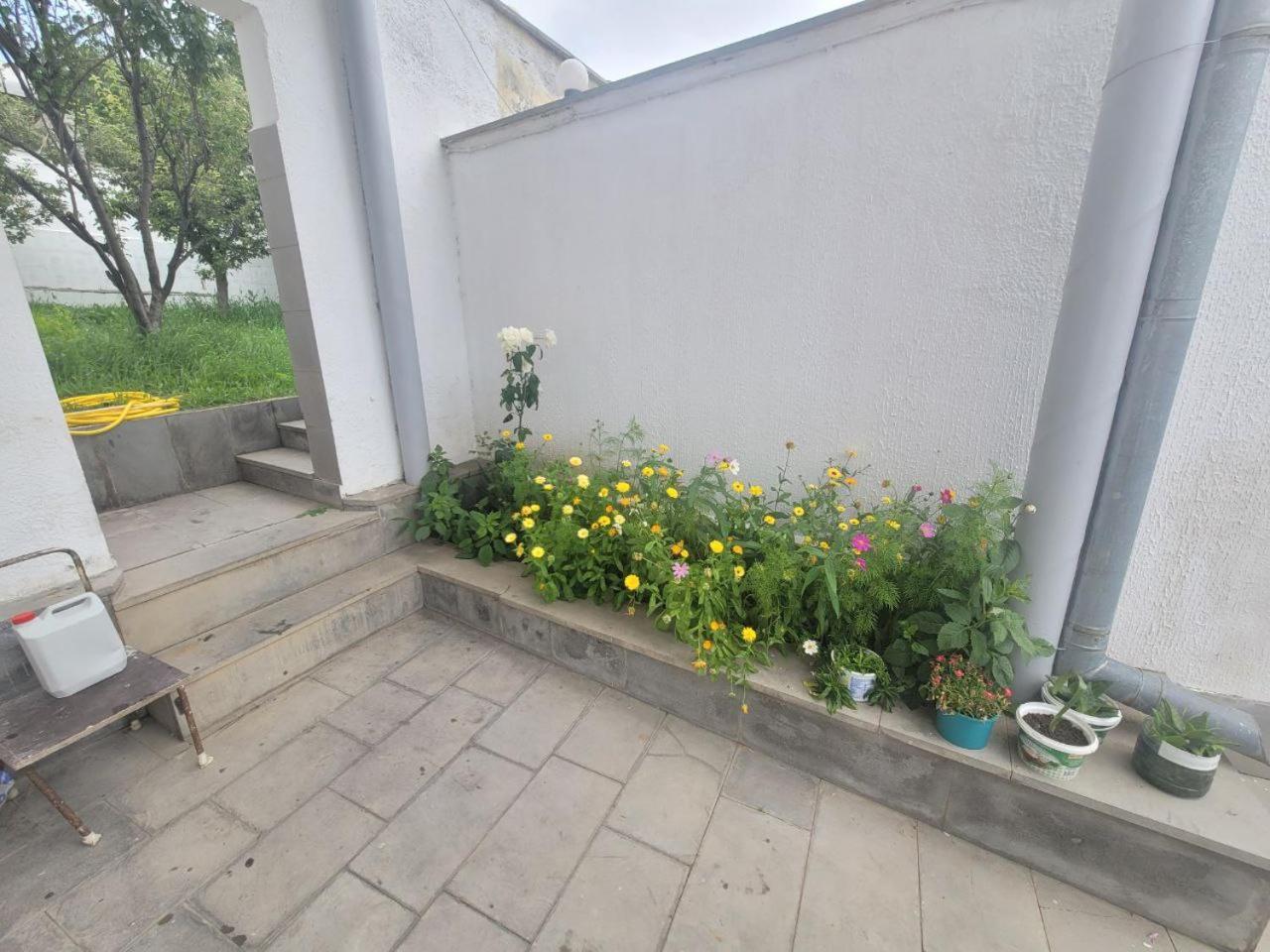 Tsaghkadzor Inn Guest House Eksteriør billede